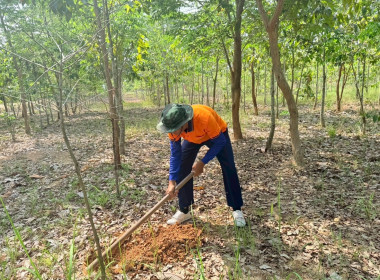 สหกรณ์จังหวัดบึงกาฬ พร้อมด้วยสหกรณ์การเกษตรเมืองบึงกาฬ ... พารามิเตอร์รูปภาพ 4